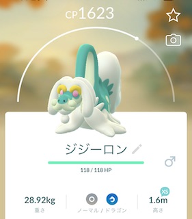 ジジーロンソロ