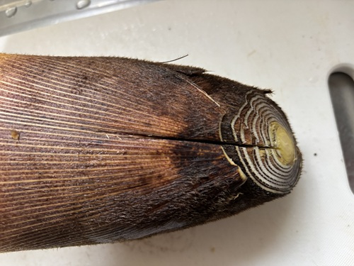 たけのこのあく抜きのやり方